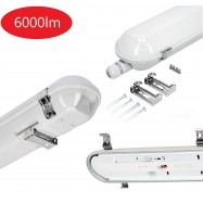 LED NEXFORCE1 40W 4000K