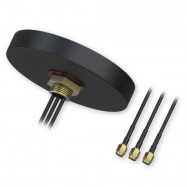 Teltonika 003R-00254 Antena Combo SISO...