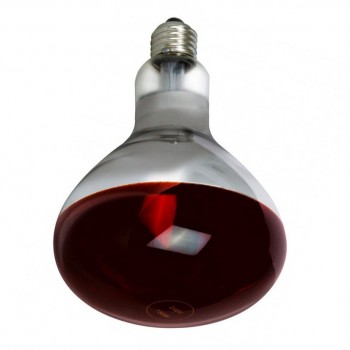 Light bulb lamp R125 230V 250W E27 red (50)