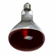 Żarówka lampa grzewcza R125 E27 375W promiennik...
