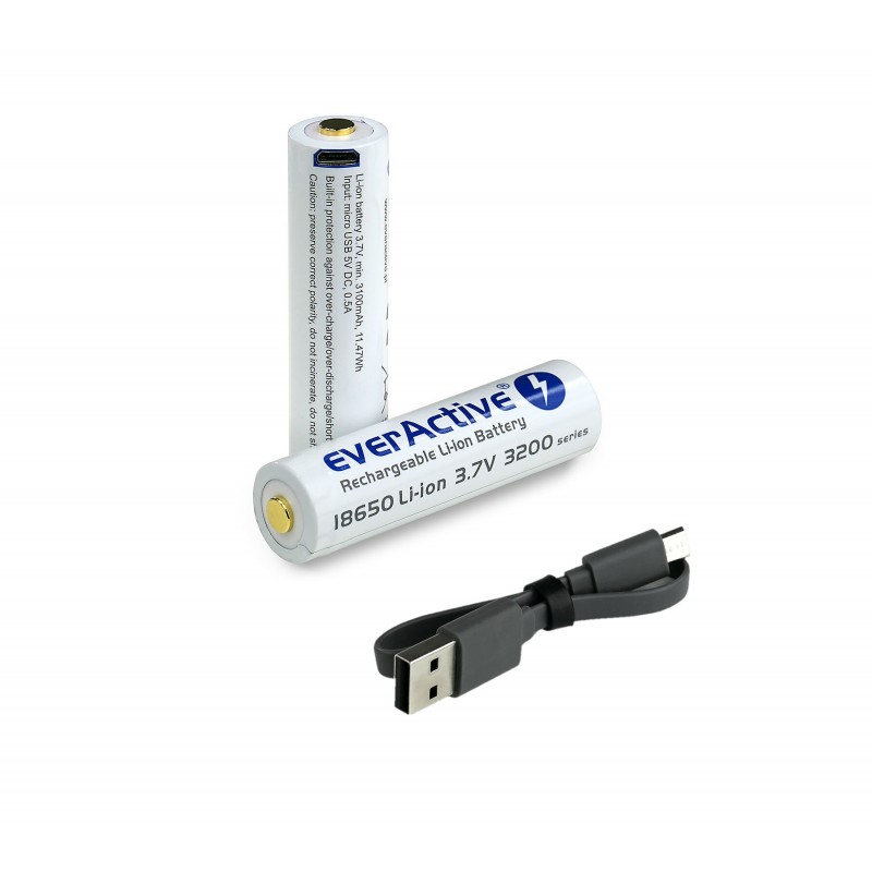 Baltrade.eu - B2B shop - everActive 18650 3.7V Li-ion 2600mAh micro USB  battery with BOX protection